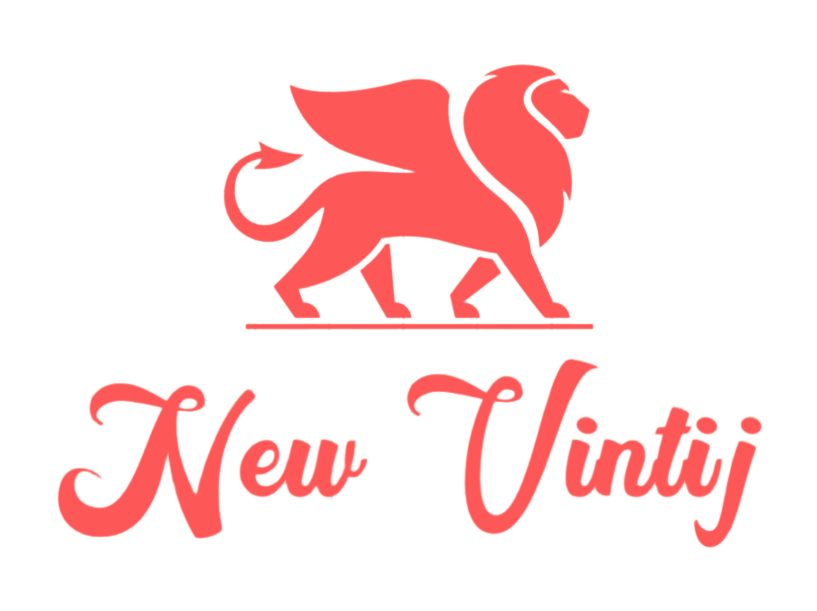 NEW VINTIJ logo