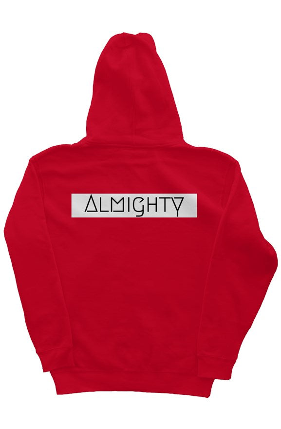 New Vintij zip up hoodie- almighty