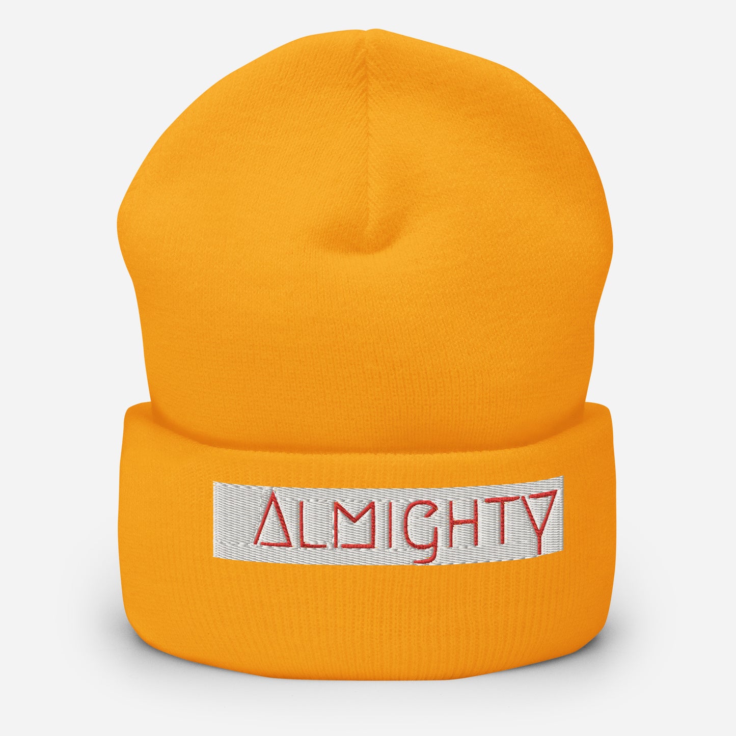 Cuffed Beanie