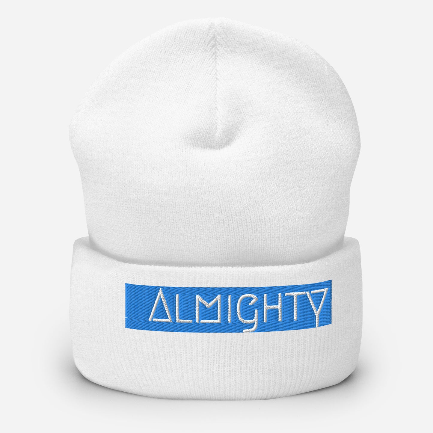 Cuffed Beanie