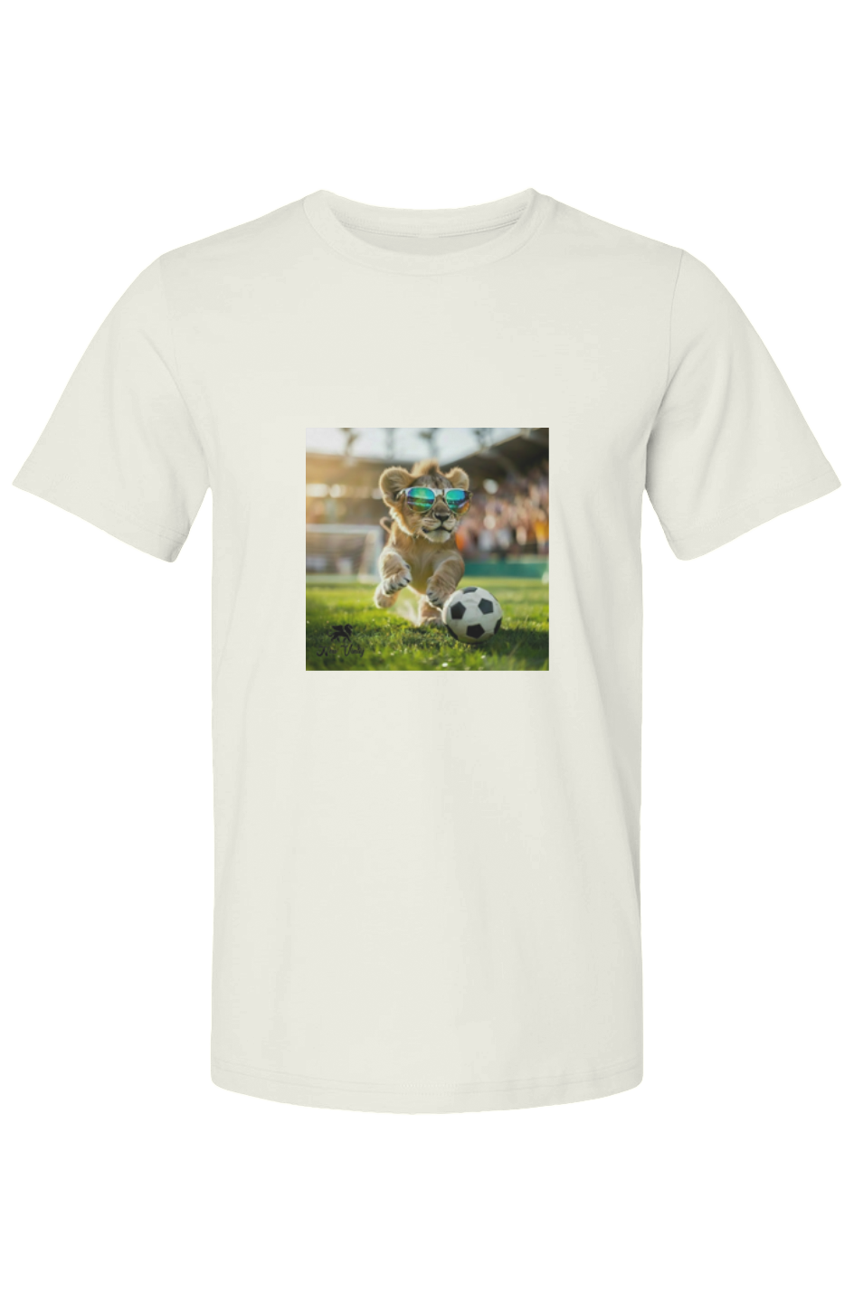 t shirt- Danny Cool
