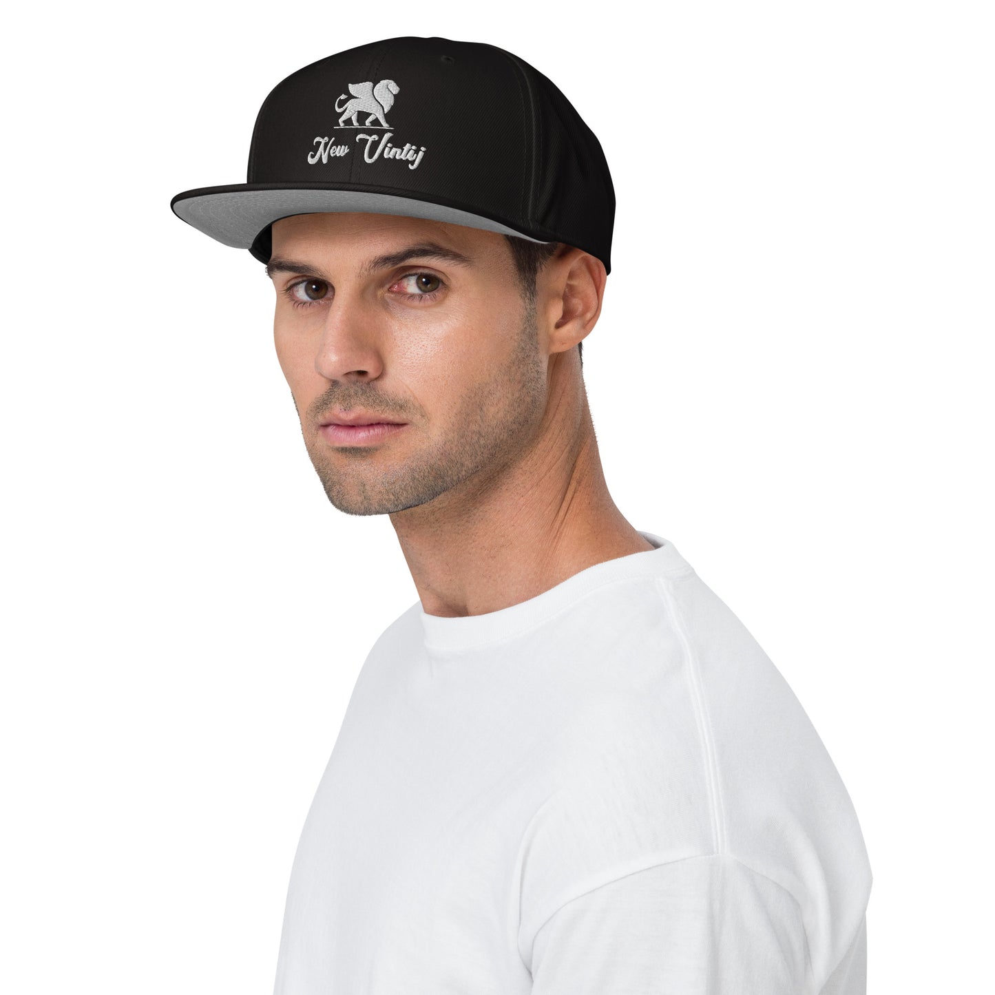 snapback- logo icon